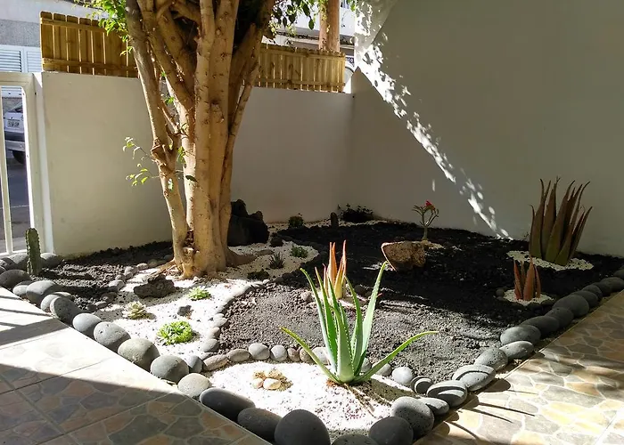 Pensionat Greentree House Corralejo