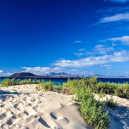 Greentree House Maison d'hôtes Corralejo