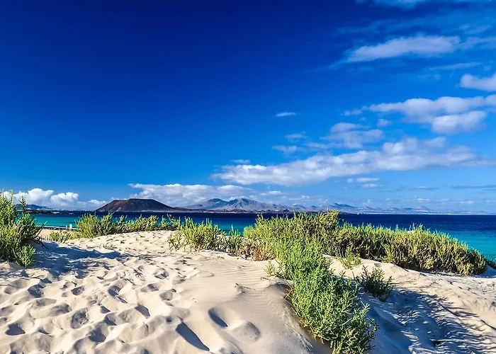 Greentree House Konukevi Corralejo